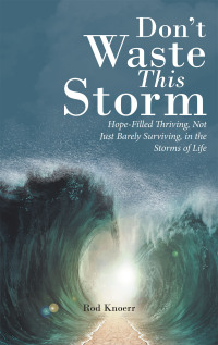 Imagen de portada: Don't Waste This Storm 9781664258075