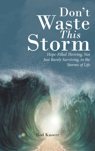 表紙画像: Don't Waste This Storm 9781664258075