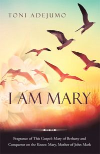 Omslagafbeelding: I Am Mary 9781664258624