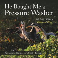 Cover image: He Bought Me a Pressure Washer 9781664259744