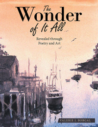 Cover image: The Wonder of It All 9781664261549