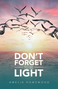 Imagen de portada: Don’t Forget to Be Light 9781664264359