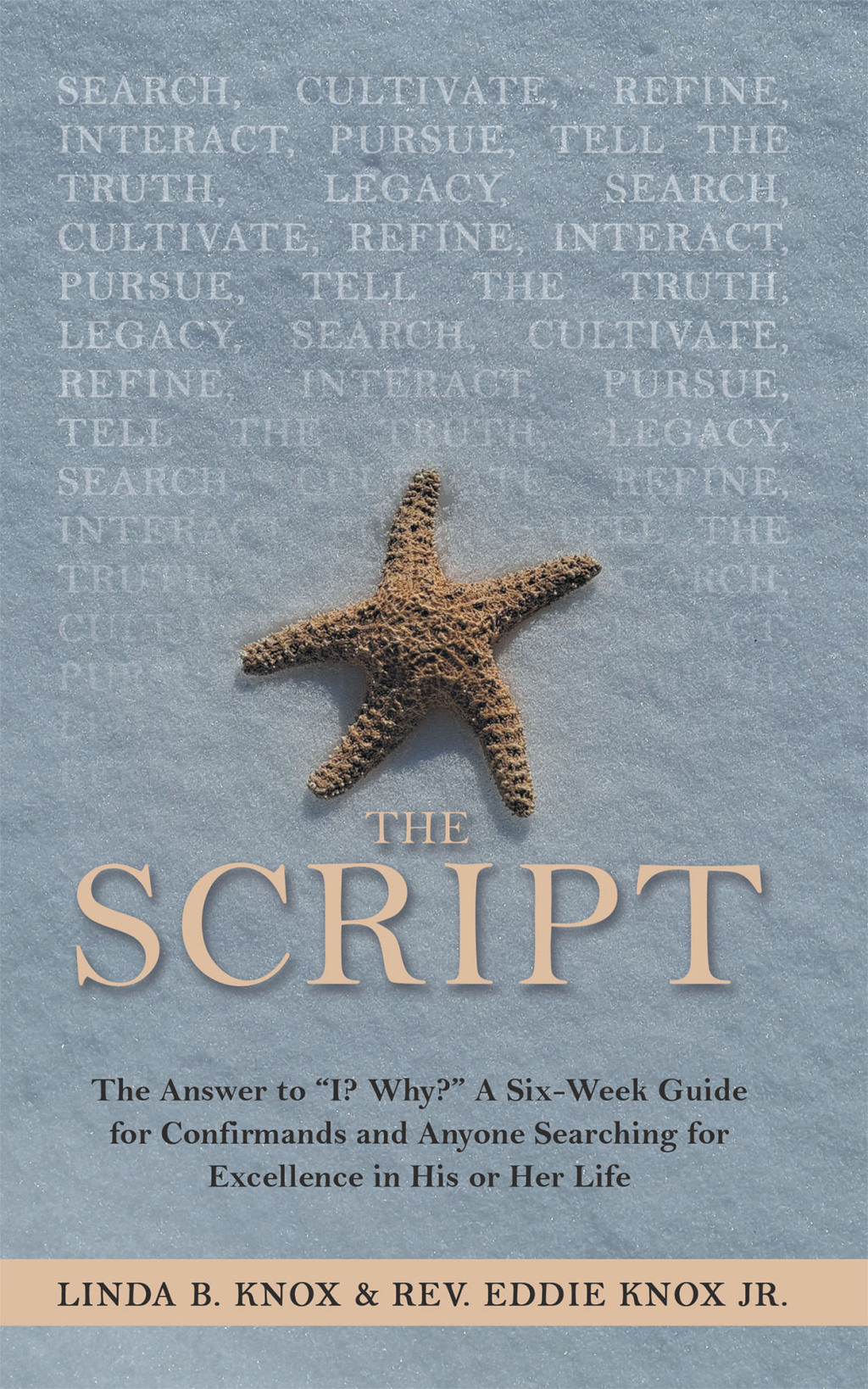 The Script (eBook)