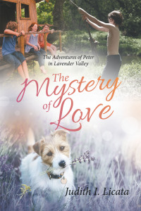 Cover image: The Mystery of Love 9781664267657