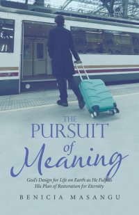 Cover image: The Pursuit of Meaning 9781664270015