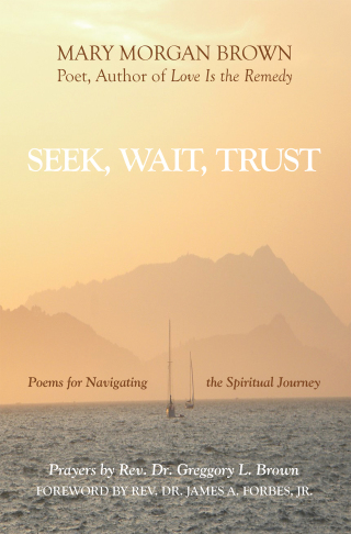 Cover image: Seek, Wait, Trust 9781664275737