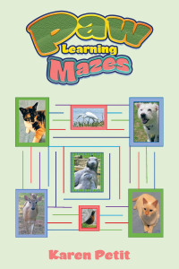 Cover image: Paw Learning Mazes 9781664278912
