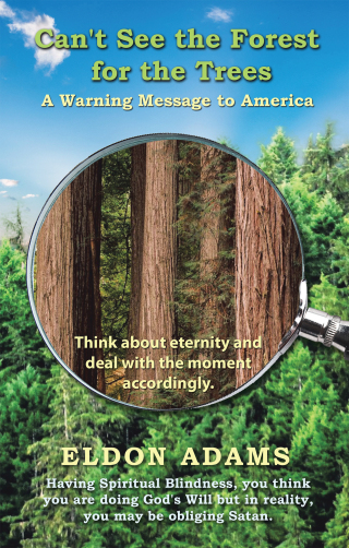 表紙画像: Can't See the Forest for the Trees 9781664280533
