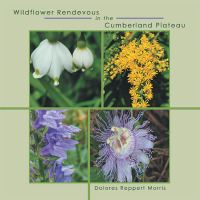 Cover image: Wildflower Rendevous in the Cumberland Plateau 9781664281950