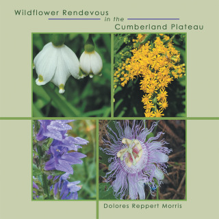 Imagen de portada: Wildflower Rendevous in the Cumberland Plateau 9781664281950