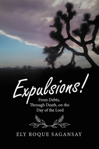 Cover image: Expulsions! 9781664283268