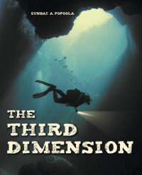 Cover image: The Third Dimension 9781664288607