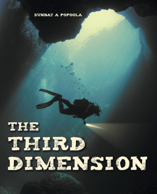 Cover image: The Third Dimension 9781664288607