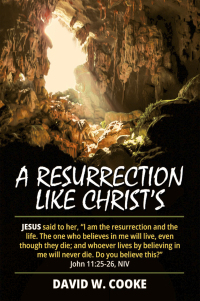 Cover image: A Resurrection Like Christ's 9781664289390