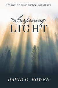 Imagen de portada: Surprising Light 9781664289949