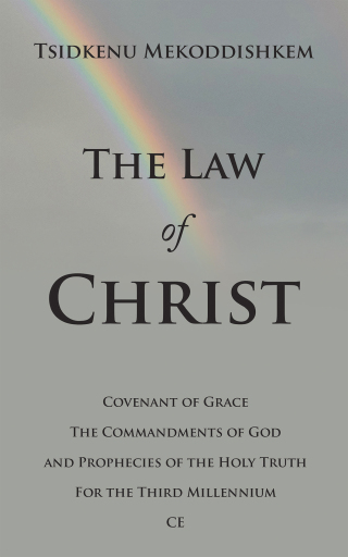 Cover image: The Law of Christ 9781664291935