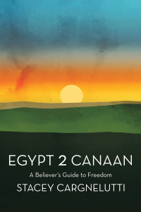 Cover image: Egypt 2 Canaan 9781664294387