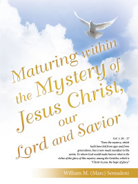 表紙画像: Maturing Within the Mystery of Jesus Christ, Our Lord and Savior 9781664295971
