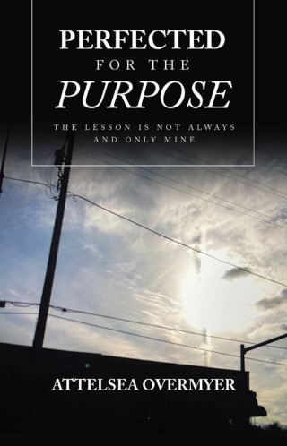 Imagen de portada: Perfected for the Purpose 9781664296671
