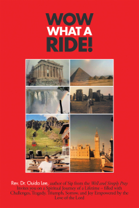 Cover image: Wow What a Ride! 9781665501934