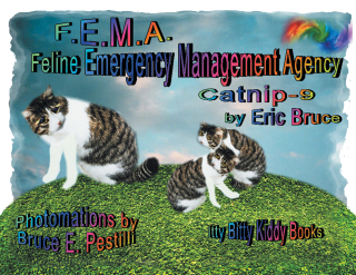 Imagen de portada: F.E.M.A 9781665502399
