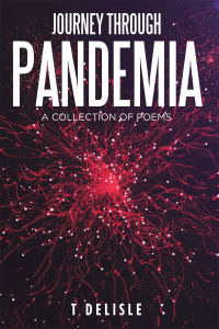 Cover image: Journey Through Pandemia 9781665503938