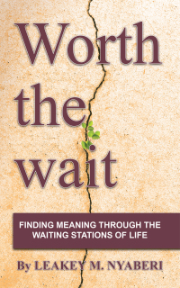 Cover image: Worth the Wait 9781665503594