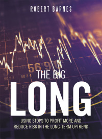 Cover image: The Big Long 9781665503952