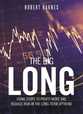 Imagen de portada: The Big Long 9781665503952