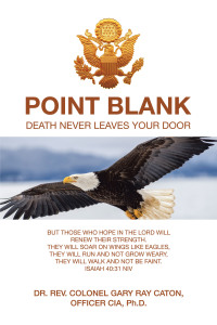 Cover image: Point Blank 9781665511162