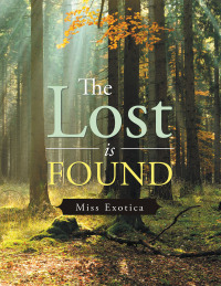 Imagen de portada: The Lost Is Found 9781665515184