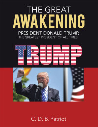 Cover image: THE GREAT AWAKENING 9781665518963