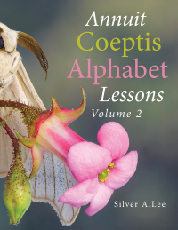 Imagen de portada: Annuit Coeptis Alphabet Lessons 9781665519212
