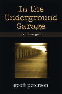 Cover image: In the Underground Garage 9781665528009