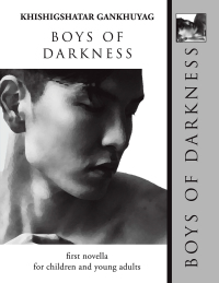 表紙画像: Boys of Darkness 9781665528146