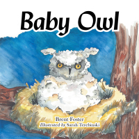 表紙画像: Baby Owl 9781665529914