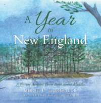 Cover image: A Year in New England 9781665530354