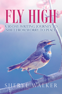 Imagen de portada: Fly High 9781665534000