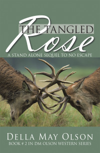 Cover image: The Tangled Rose 9781665538466