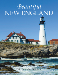 表紙画像: Beautiful  New England 9781665539128