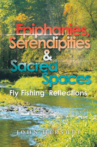 Cover image: Epiphanies, Serendipities & Sacred Spaces 9781665542258