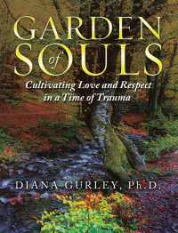 Cover image: Garden of Souls 9781665546690