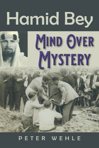 Cover image: Hamid Bey 9781665553780