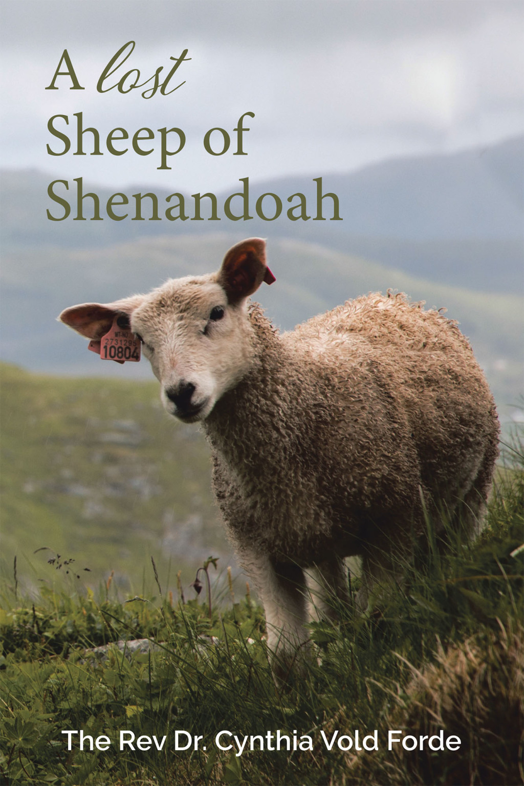A Lost Sheep of Shenandoah Charles Edwin Rinker of Virginia and Harry Bernard King of Iowa: Dna Reveals They Were the Same Man