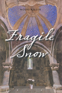 Cover image: Fragile Snow 9781665556156