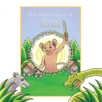 Imagen de portada: The Adventures of Mouse 9781665560948