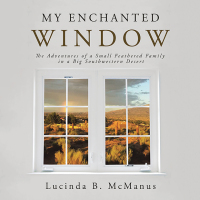 Omslagafbeelding: My Enchanted Window 9781665563031