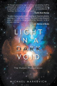 Cover image: Light in a Dark Void 9781665563451