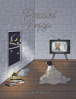 Cover image: Puzzled Perpleja 9781665569668