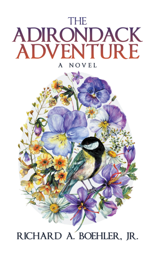 Cover image: The Adirondack Adventure 9781665570473